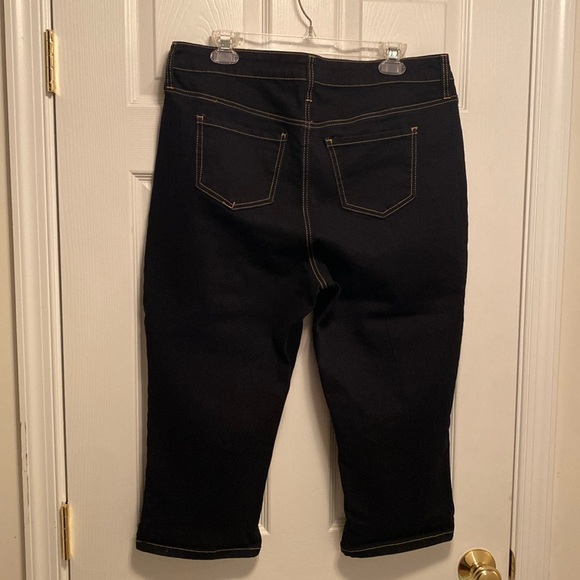 NWOT Copperflash Curvy Capris…size 16W - Picture 2 of 4